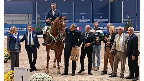 Fieracavalli di Verona e allevamento: 47 puledri sardi su 89 finalisti