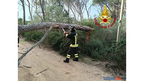 Maltempo, salgono i danni per il vento a Sassari. Colpita anche la Gallura