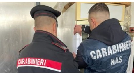 Gravi carenze igieniche, Nas in azione: chiuso un ristorante e multato il titolare