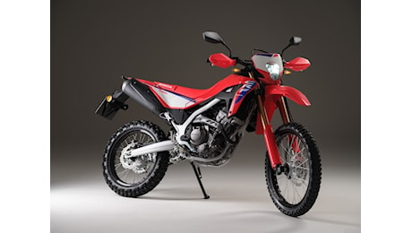 Honda CRF300L e Rally: novità di dettaglio per le piccole dual giapponesi