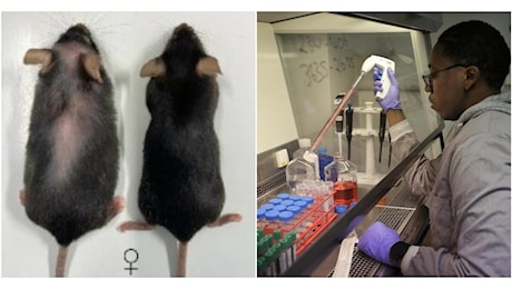 L’elisir di lunga vita (per ora solo dei topi): sperimentato un farmaco che allunga la vita degli animali del 25 per cento