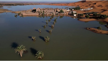 Il Sahara è irriconoscibile: il deserto si è trasformato in una laguna dopo le piogge straordinarie | VIDEO