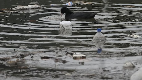 Inquinamento da plastica: negoziati falliti