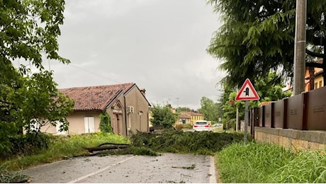 Maltempo a Gradisca, alberi abbattuti e strade interrotte