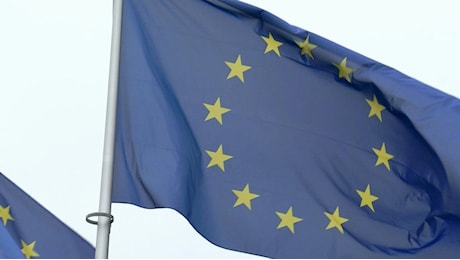 Ue, Afd fonda gruppo di ultradestra ‘Europa nazioni sovrane’ (Esn)