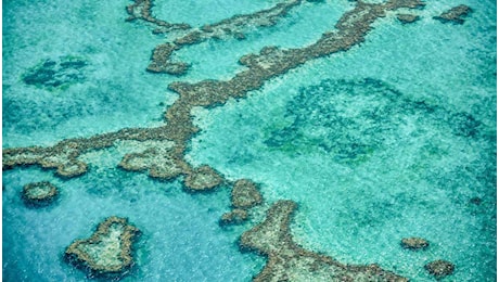 Emergenza oceani, sta succedendo qualcosa di terribile alla barriera corallina