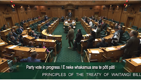 Nuova Zelanda, Haka in parlamento dei deputati maori per protesta