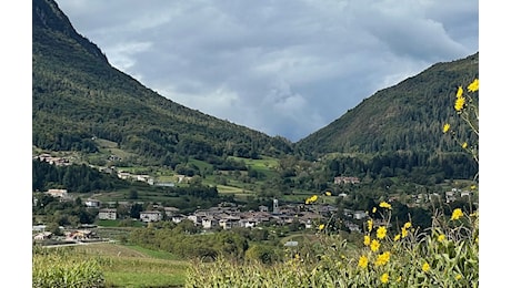 Bleggio, forestali alla ricerca dell’orso. Altro avvistamento sul Bondone