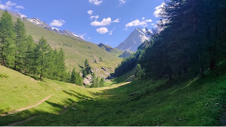 Via libera al Senato al DDl Montagna