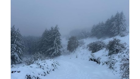 Maltempo in arrivo: vento e neve su tutta Italia da giovedì