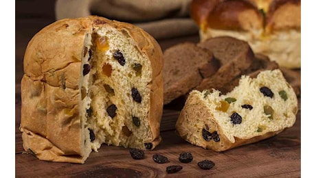 Panettone, in Italia nessuno li fa come lui: se lo acquisti fai un figurone | La classifica è chiarissima