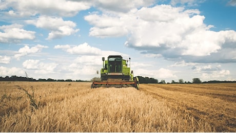 Credito d’Imposta per le Imprese Agricole del Mezzogiorno: pubblicate le disposizioni per gli investimenti nella ZES unica