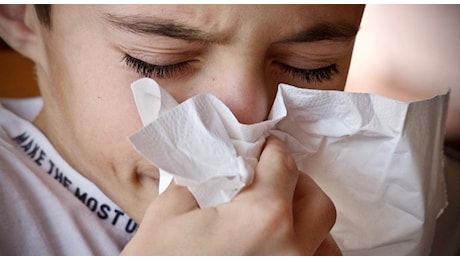 «Influenza australiana può sviluppare danni cerebrali, così come le altre. Non è l'unica»: l'allarme degli esperti