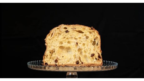 Il panettone migliore? Ciacco di Parma - Pandoro e panettone: le Top10 in Italia secondo Dissapore