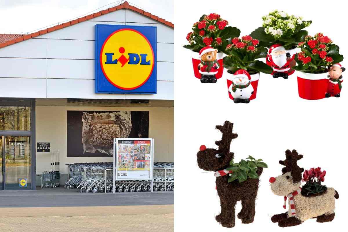 Lidl Non Bada A Spese Per Natale L Accessorio Tech Che Tutti Vogliono