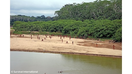 Perù: la più grande tribù amazzonica incontattata è a rischio genocidio