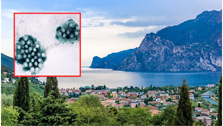 Intossicazione da Norovirus per centinaia di persone a Torri del Benàco, sul lago di Garda: le cause