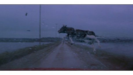 Twisters, contrordine: una mucca volante compare nel film, ma è così nascosta che neanche il regista l'aveva inizialmente notata