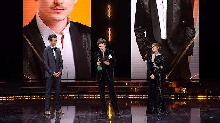 Chalamet ricorda Crema ai David ma la traduzione inganna - Cremaoggi Chalamet ricorda Crema ai David ma la traduzione inganna - Cremaoggi