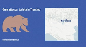 Trentino, turista attaccato da un orso a Dro: ferito agli arti. L’ipotesi della Forestale