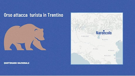 Trentino, turista attaccato da un orso a Dro: ferito agli arti. L’ipotesi della Forestale