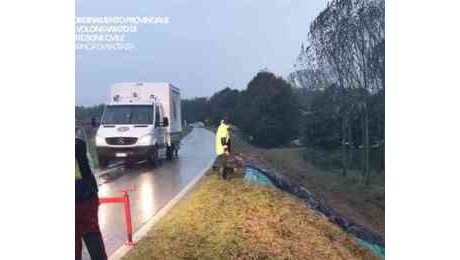 Piove da ore sul Piacentino: fiume Po osservato speciale. Protezione civile al lavoro a Mortizza