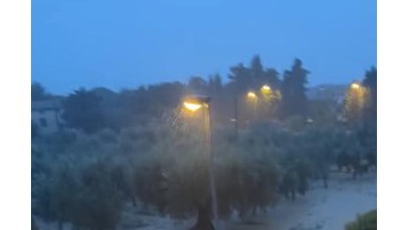 Maltempo, in Veneto Zaia dichiara lo stato di emergenza. Nubifragi in Toscana: danni ai vigneti Bolgheri - I video