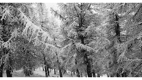 Prima neve sul Canavese: l'inverno fa capolino tra le montagne piemontesi (FOTO)