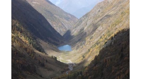 Valtellina, scoperto un ecosistema preistorico fossile