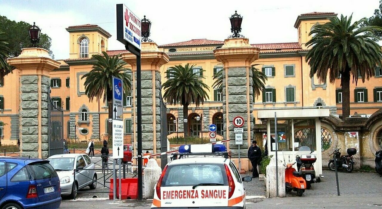 Shock Anafilattico Fatale Per Una Turista Inglese A Roma