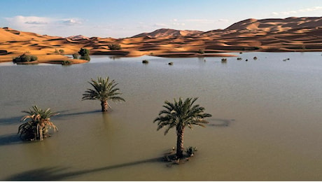 Il deserto del Sahara allagato visto dall'alto, uno scenario unico e drammatico