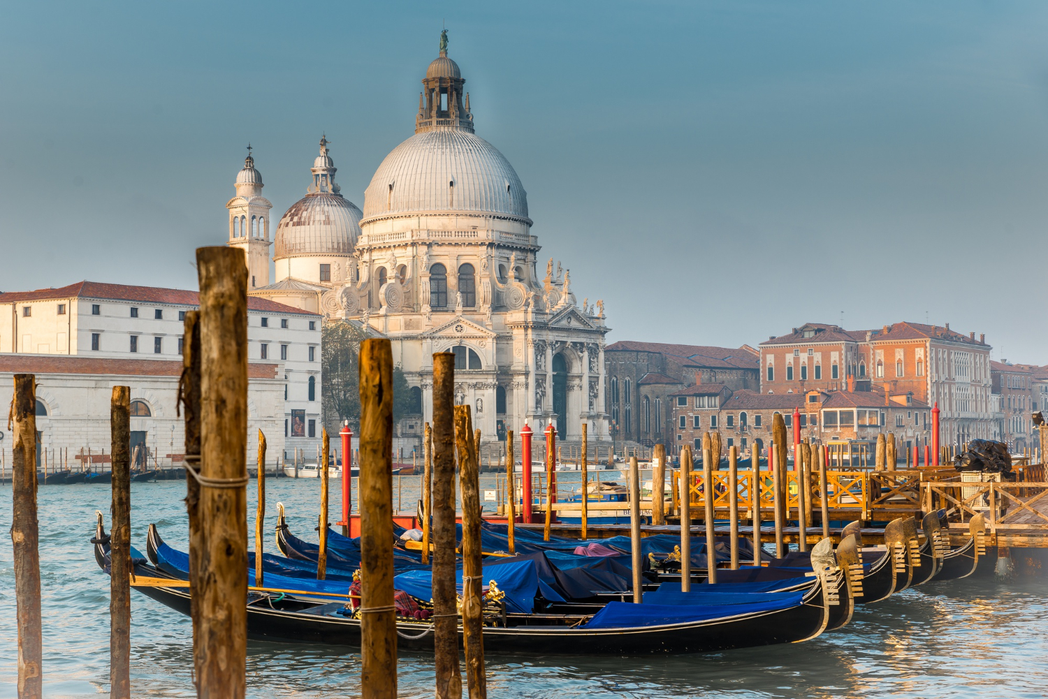 L'overtourism è un problema. A Venezia scatta il ticket, la sindaca di ...