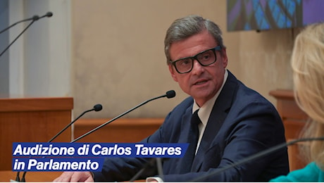 L’audizione di Carlos Tavares in Parlamento.