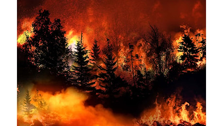 California: il mega incendio Park Fire fuori controllo, è un’emergenza nazionale