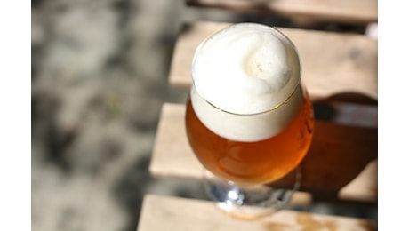 Birra artigianale piemontese: 300mila euro per filiera e formazione