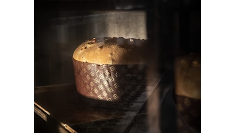 Panettone mania: costi, rincari e trucchi per riconoscere un prodotto di qualità