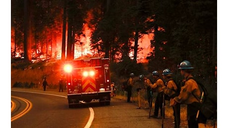 Incendi in California, bruciati 140mila ettari di parchi. VIDEO
