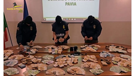 Tonnellate di cocaina, hashish ed eroina tra Lombardia e Calabria: sequestrati 800mila euro e 20 arresti - Video