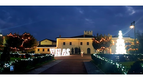 ‘Frosinone Città in Festa’: arte, musica e spettacoli per un ricco programma dalle mille emozioni