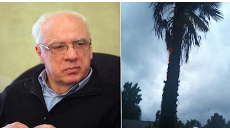 Maltempo a Castelfranco. Fulmine colpisce una palma nel giardino del consigliere comunale Fiorenzo Basso: «Ho sentito un forte boato»