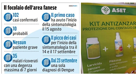 Focolaio dengue a Fano, cento kit anti zanzare subito venduti. Burioni: «Disinfettante inutile»