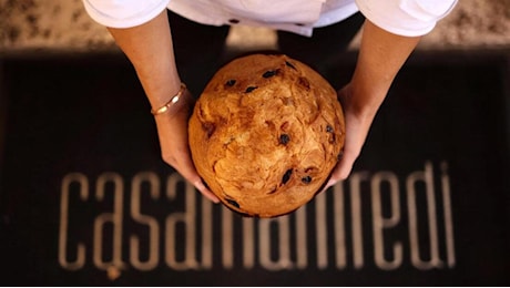 Visciole o cacao: tutti i gusti del panettone d’autore. Ecco dove trovarli