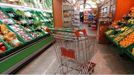 Supermercati e centri commerciali aperti in Veneto: dove fare la spesa la vigilia di Natale, il 25 dicembre e a Santo Stefano