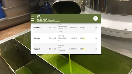 Olio d’oliva: prezzi in risalita in Puglia (10 dicembre) per l'extravergine: 1 Kg vale 9,40 euro. Valori simili per le Dop al Sud