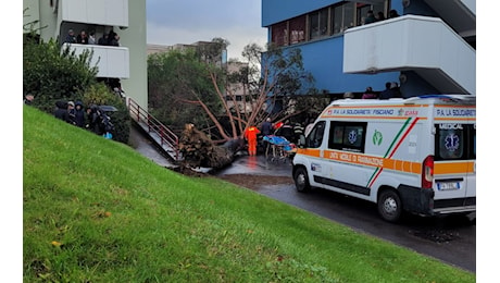 Salerno, albero cade in campus università a Fisciano: tre feriti