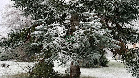 Meteo, domani possibile neve fino in collina. La Regione dichiara la fase di attenzione