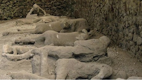 Pompei, il DNA riscrive la storia degli ultimi istanti delle vittime del Vesuvio