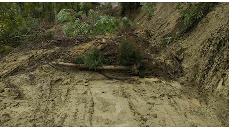 Esondati torrenti e fossi, la provincia di Ancona sott'acqua (e fango): scuole chiuse anche domani e sabato. Ecco dove