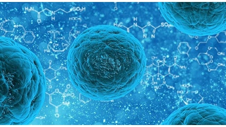 Batteri specchio, l'allarme degli scienziati: «A rischio la vita sulla Terra. Nuove epidemie in arrivo». Cosa sono