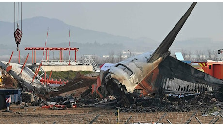 Boeing precipitato in Corea, l'esperto: «Atterraggio d'emergenza perfetto. Senza quell'ostacolo, sarebbero tutti vivi». Il dettaglio inquietante